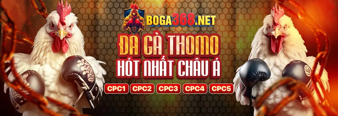 Ưu đãi độc quyền hj88 nhà cái 2026