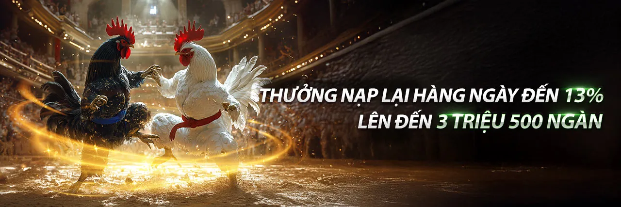 Đá Gà Trực Tuyến tại HJ88 Nhà Cái